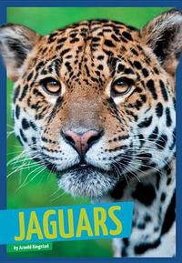 Cover image for Jaguars