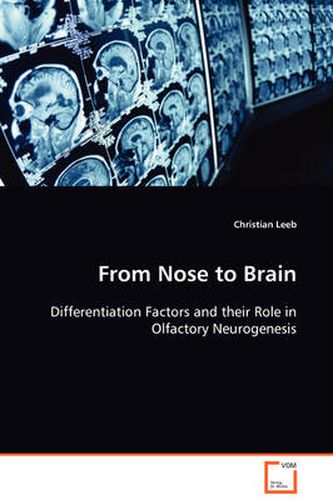 Cover image for From Nose to Brain