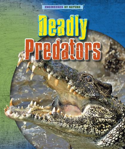 Cover image for Deadly Predators