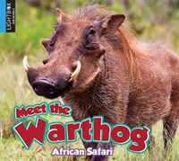 Cover image for Meet the Warthog