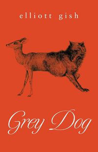 Cover image for Grey Dog