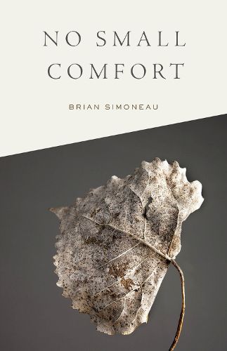 Cover image for No Small Comfort