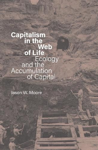 Cover image for Capitalism in the Web of Life