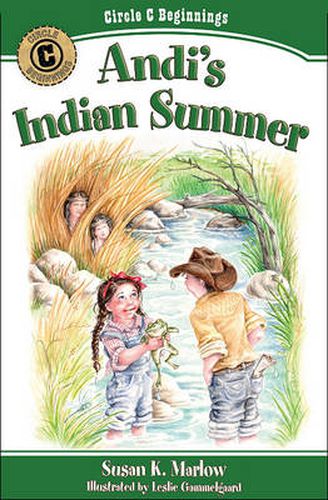 Cover image for Andi's Indian Summer