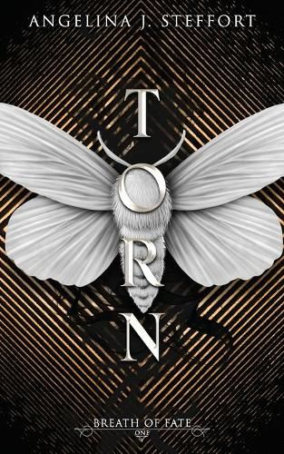 Cover image for Torn