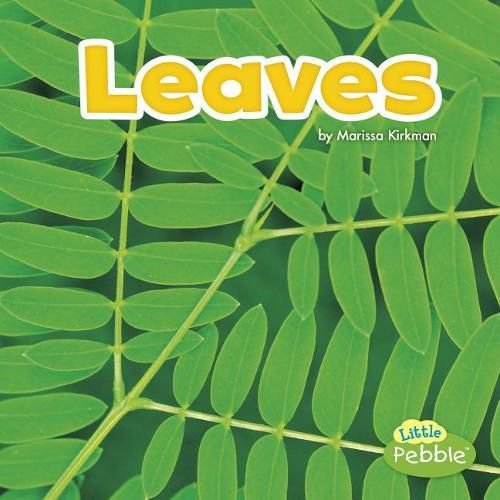 Leaves (Plant Parts)