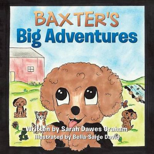 Baxter's Big Adventures