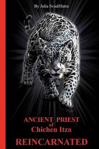 Cover image for THE Priest: Ancient Priest of Chichen Itza Reincarnated