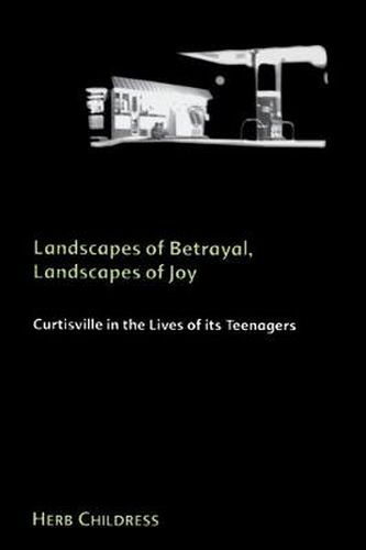 Cover image for Landscapes of Betrayal, Landscapes of Joy: Curtisville in the Lives of its Teenagers