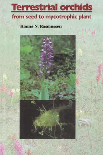 Cover image for Terrestrial Orchids: From Seed to Mycotrophic Plant