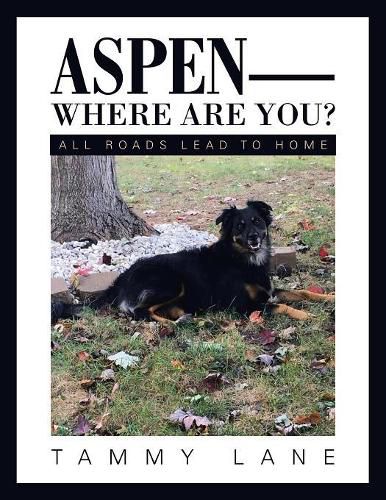 Cover image for Aspen-Where Are You?