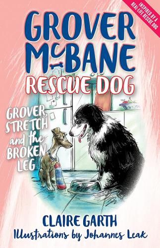 Cover image for Grover, Stretch and the Broken Leg (Grover McBane Rescue Dog Book 5)