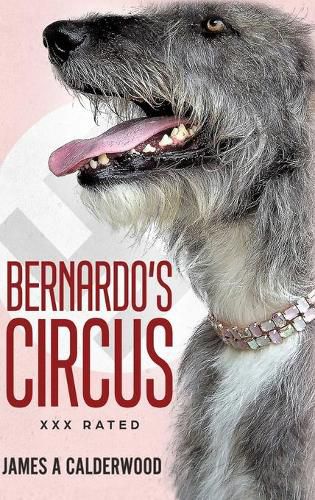 Cover image for bernado's Circus