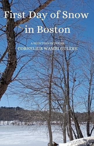 Cover image for First Day of Snow in Boston
