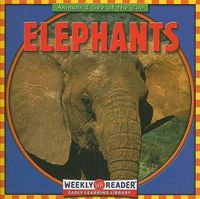 Cover image for Elephants