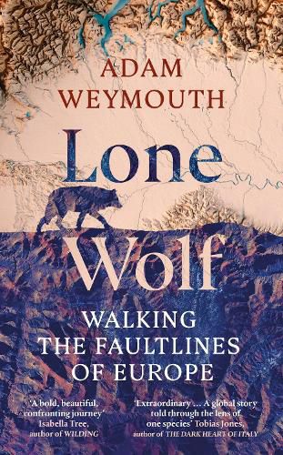 Cover image for Lone Wolf