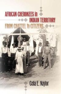 Cover image for African Cherokees in Indian Territory: From Chattel to Citizens