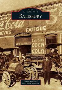 Cover image for Salisbury