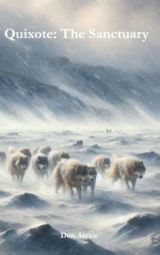 Cover image for Quixote