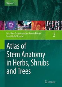 Cover image for Atlas of Stem Anatomy in Herbs, Shrubs and Trees: Volume 2