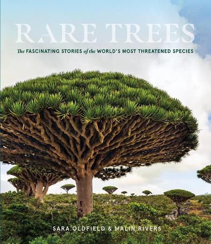 Cover image for Rare Trees: The Fascinating Stories of the World's Most Threatened Species