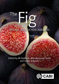 Cover image for The Fig: Botany, Production and Uses