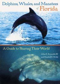 Cover image for Dolphins, Whales, and Manatees of Florida: A Guide to Sharing Their World