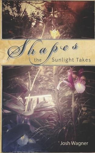 Cover image for Shapes the Sunlight Takes