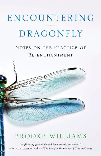 Cover image for Encountering Dragonfly
