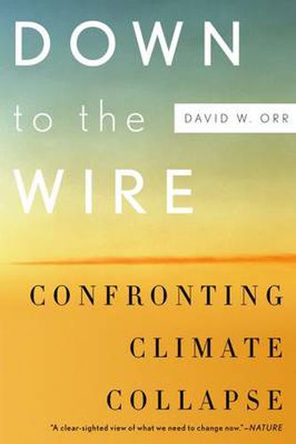 Cover image for Down to the Wire: Confronting Climate Collapse