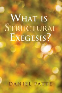 Cover image for What Is Structural Exegesis?