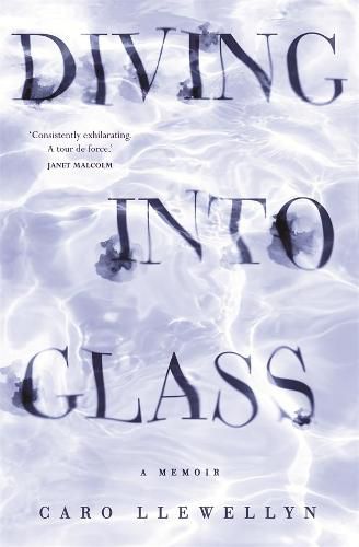 Cover image for Diving into Glass