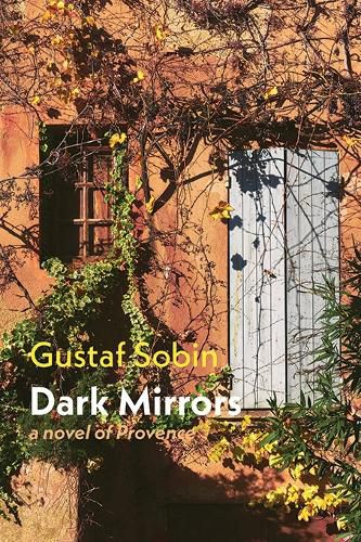 Cover image for Dark Mirrors