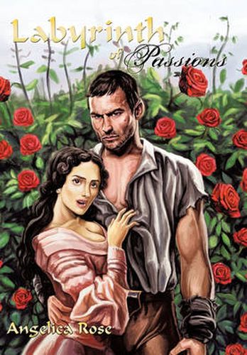 Cover image for Labyrinth of Passions