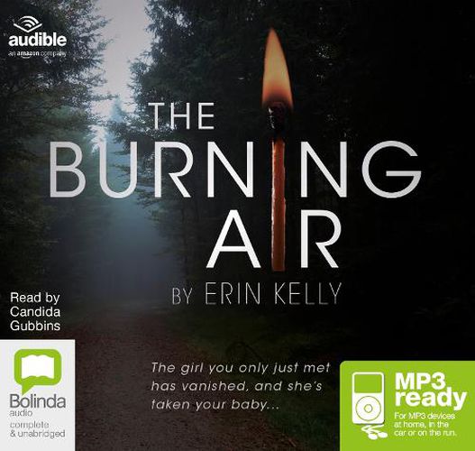 Cover image for The Burning Air