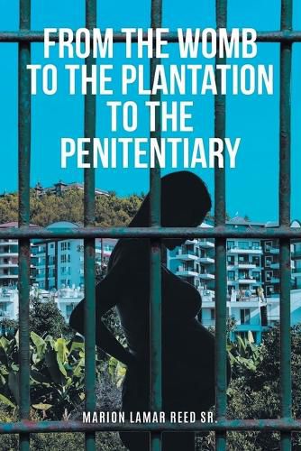 Cover image for From the Womb to the Plantation to the Penitentiary