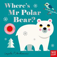Cover image for Where's Mr Polar Bear?