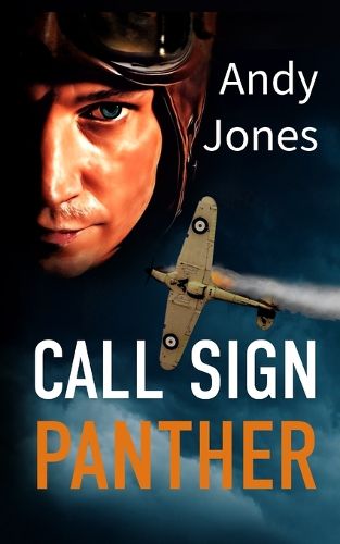 Cover image for Call Sign Panther