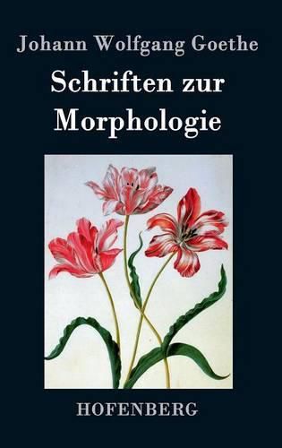 Schriften zur Morphologie