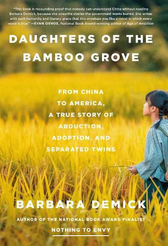 Cover image for Daughters of the Bamboo Grove