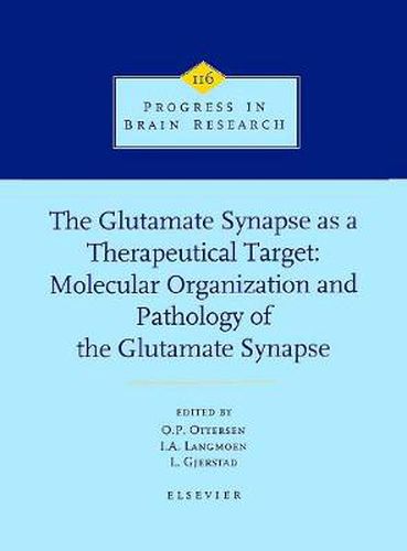 Cover image for The Glutamate Synapse as a Therapeutic Target