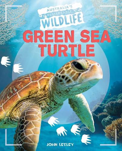 Cover image for Green Sea Turtle