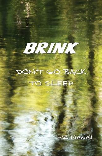 Cover image for Brink: Don't Go Back to Sleep