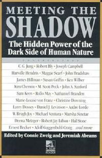 Cover image for Meeting the Shadow: The Hidden Power of the Dark Side of Human Nature