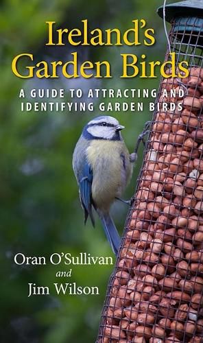 Cover image for Ireland's Garden Birds: A Guide to Attracting and Identifying Garden Birds