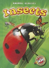 Cover image for Insects