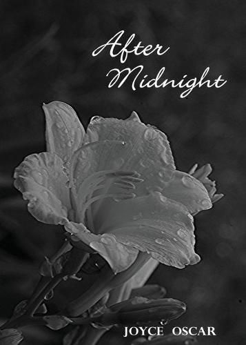 Cover image for After Midnight: Love's Journey