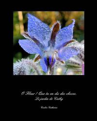 Cover image for Le jardin de Cathy