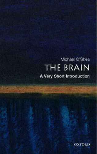 Cover image for The Brain: A Very Short Introduction