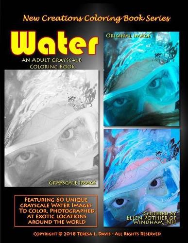 Cover image for New Creations Coloring Book Series